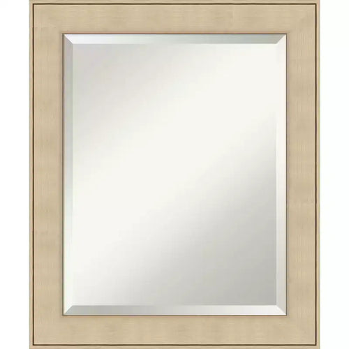 Amanti Art Classic Honey Silver Beveled Framed Wall Mirror